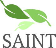 Saint logo